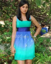 Actress Bhanu Sree Mehra Sexy Skirt Pictures