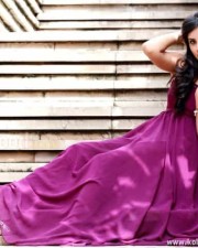 Actress Bhanu Sri Mehra Pictures
