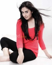 Actress Bhanu Sri Mehra Pictures