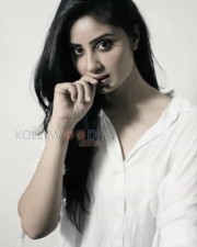 Actress Bhanushree Mehra Photoshoot Stills