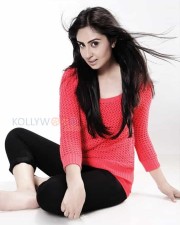 Actress Bhanushree Mehra Photoshoot Stills