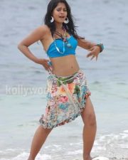 Actress Bindhu Madhavi Hot Photos