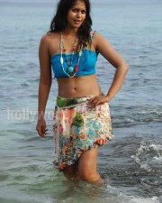 Actress Bindhu Madhavi Hot Photos