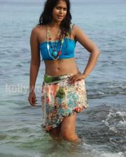 Actress Bindhu Madhavi Hot Photos
