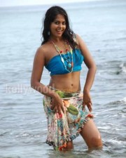 Actress Bindhu Madhavi Hot Photos