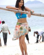 Actress Bindhu Madhavi Hot Photos