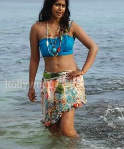 Actress Bindhu Madhavi Hot Photos