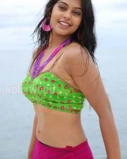 Actress Bindhu Madhavi Hot Photos