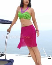 Actress Bindhu Madhavi Hot Photos