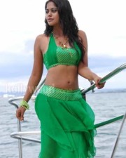 Actress Bindhu Madhavi Hot Photos