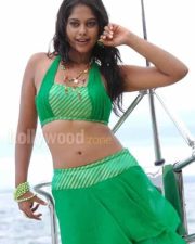 Actress Bindhu Madhavi Hot Photos