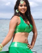 Actress Bindhu Madhavi Hot Photos