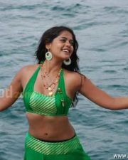 Actress Bindhu Madhavi Hot Photos