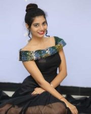 Actress Bindu Barbie At Seenu Gadi Prema Movie Audio Launch Photos
