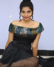 Actress Bindu Barbie At Seenu Gadi Prema Movie Audio Launch Photos