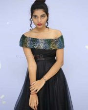 Actress Bindu Barbie At Seenu Gadi Prema Movie Audio Launch Photos