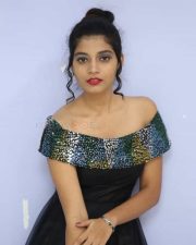 Actress Bindu Barbie At Seenu Gadi Prema Movie Audio Launch Photos