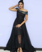 Actress Bindu Barbie At Seenu Gadi Prema Movie Audio Launch Photos