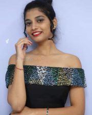 Actress Bindu Barbie At Seenu Gadi Prema Movie Audio Launch Photos