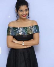 Actress Bindu Barbie At Seenu Gadi Prema Movie Audio Launch Photos