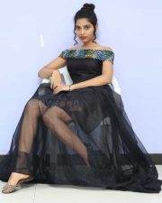 Actress Bindu Barbie At Seenu Gadi Prema Movie Audio Launch Photos