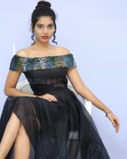 Actress Bindu Barbie At Seenu Gadi Prema Movie Audio Launch Photos