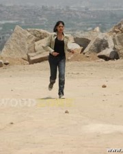 Actress Bindu Madhavi Images