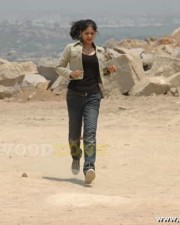 Actress Bindu Madhavi Images