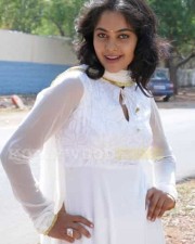 Actress Bindu Madhavi Images