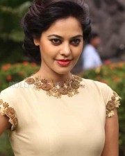 Actress Bindu Madhavi Latest Pictures