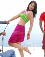 Actress Bindu Madhavi Sexy Photos