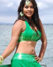 Actress Bindu Madhavi Sexy Photos