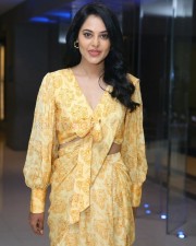 Actress Bindu Madhavi at Anger Tales Pre Release Event Pictures 05