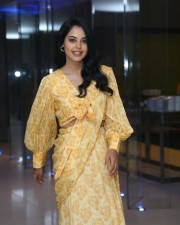 Actress Bindu Madhavi at Anger Tales Pre Release Event Pictures 14