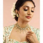 Bommu Lakshmi 34 Actress Bommu Lakshmi Latest Photo Shoot Stills