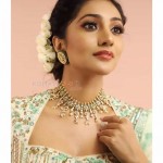 Bommu Lakshmi 33 Actress Bommu Lakshmi Latest Photo Shoot Stills