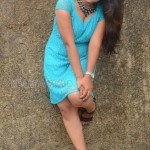 Brahmini Murala 17