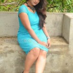 Brahmini Murala 15