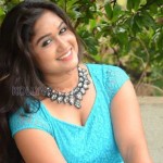Brahmini Murala 7