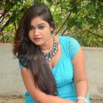 Brahmini Murala 5