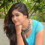 Brahmini Murala 4