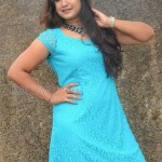 Brahmini Murala 43