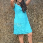 Brahmini Murala 42