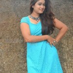 Brahmini Murala 41