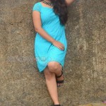 Brahmini Murala 40
