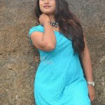 Brahmini Murala 38