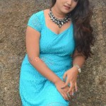 Brahmini Murala 37