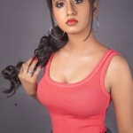 Dakkshi Guttikonda 1