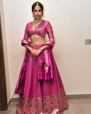 Actress Divi Vadthya at Rudrangi Pre Release Event Pictures 02