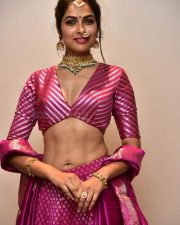 Actress Divi Vadthya at Rudrangi Pre Release Event Pictures 04